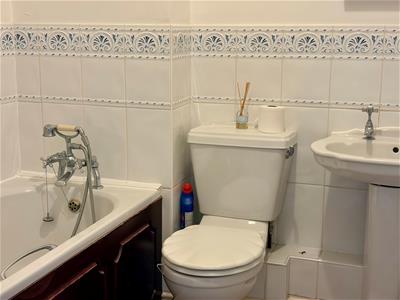 Picture 8